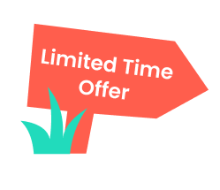 An illustrated sign saying Limited Time Offer on it.